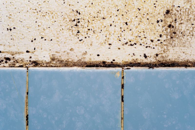 Healthy Bathroom Environment